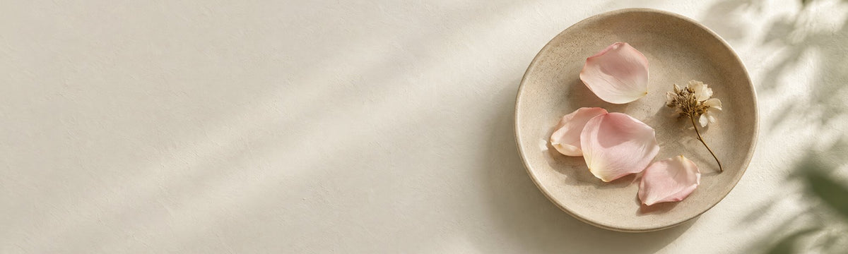Lips collection banner
