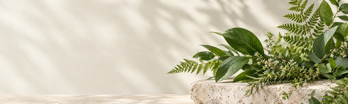 BOTANIFIQUE collection banner